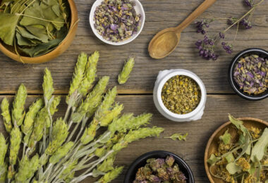 O que é Naturopatia