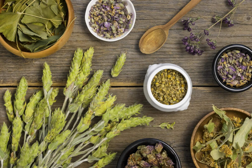 O que é Naturopatia